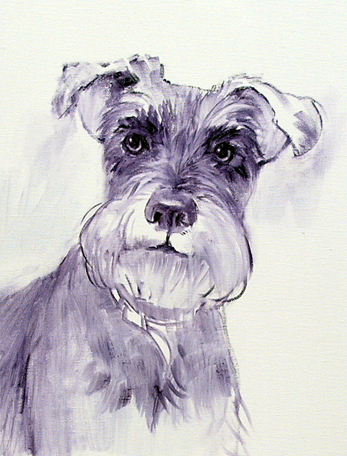 20+ Fantastic Ideas Simple Schnauzer Dog Drawing | Invisible Blogger