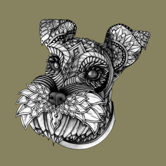 630x630 Ornate Schnauzer - Schnauzer Sketch