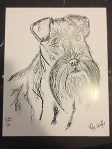 225x300 Schnauzer Drawing Print Dog Ink Pencil Original Gift Fast Ship - Schnauzer Sketch