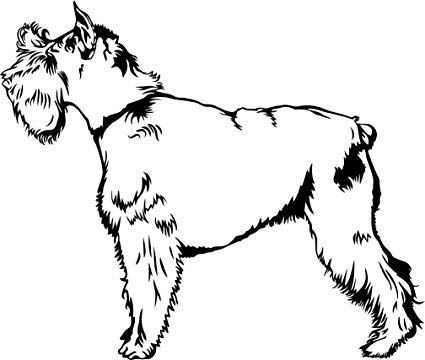 425x360 Schnauzer Dog Sketch Home Decal Vinyl Sticker 14' X - Schnauzer Sketch
