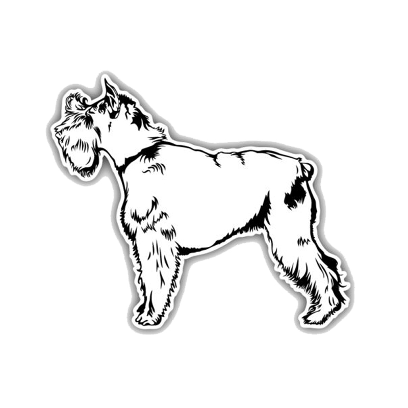 800x800 Yjzt 14.712.5cm Schnauzer Dog Sketch Cartoon Fashion Decoration - Schnauzer Sketch