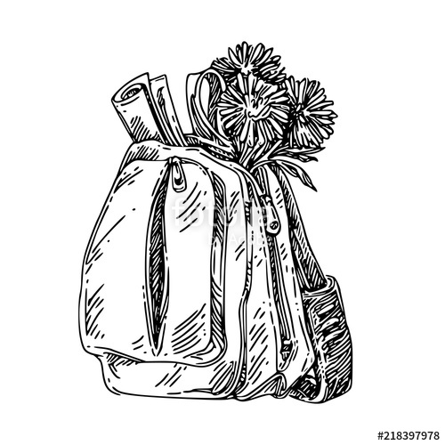 500x500 School Bag With Bouquet Flowers. Sketch. Engraving Style. Vector - School Bag Sketch