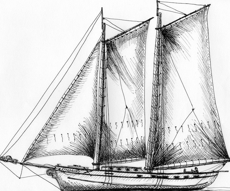 800x662 The Schooner Paragon - Schooner Sketch