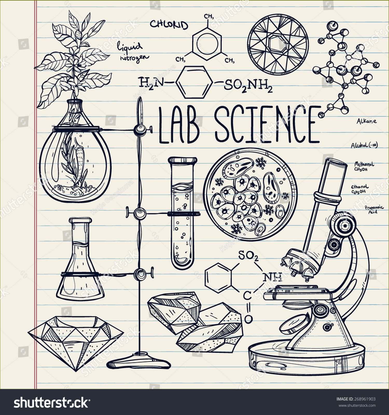 1500x1600 Hand Drawn Vintage Laboratory Icons Sketch. Vector Illustration - Science Lab Sketch