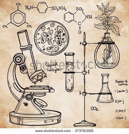 450x470 Hand Drawn Linear Laboratory Icons. Vector Illustration. Vintage - Science Lab Sketch