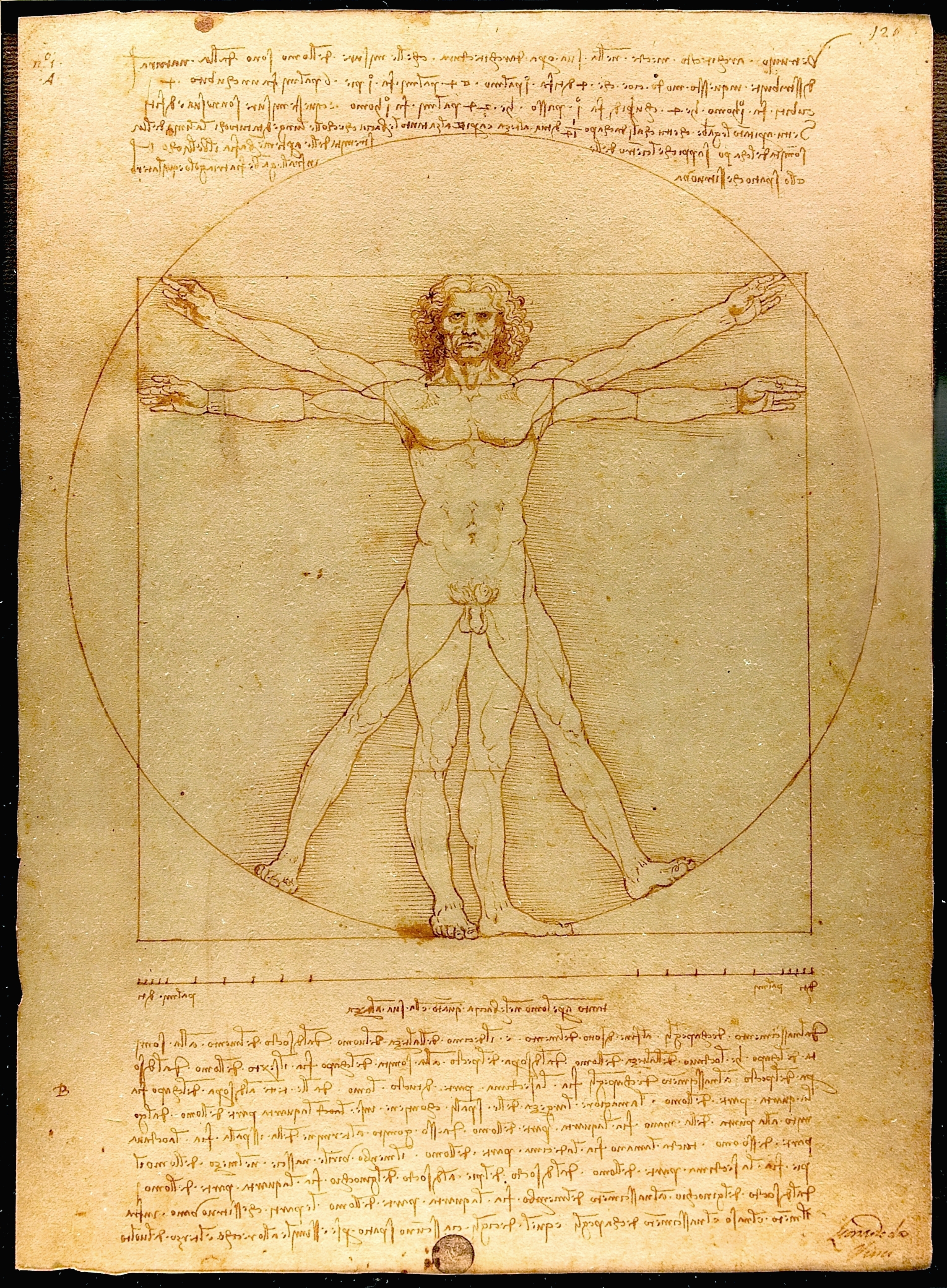 2258x3070 Science And Inventions Of Leonardo Da Vinci - Scientific Sketches