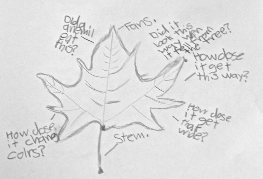 1023x697 Getting Started With Science Love What You Teach - Scientific Sketches