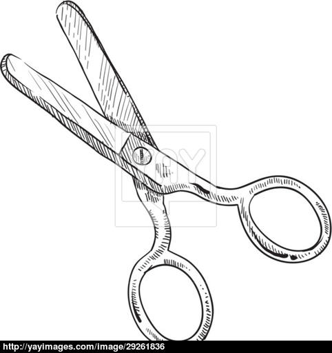 482x512 Scissors Sketch Vector - Scissors Sketch