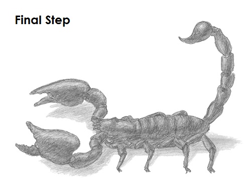 500x386 How To Draw A Scorpion - Scorpio Sketch