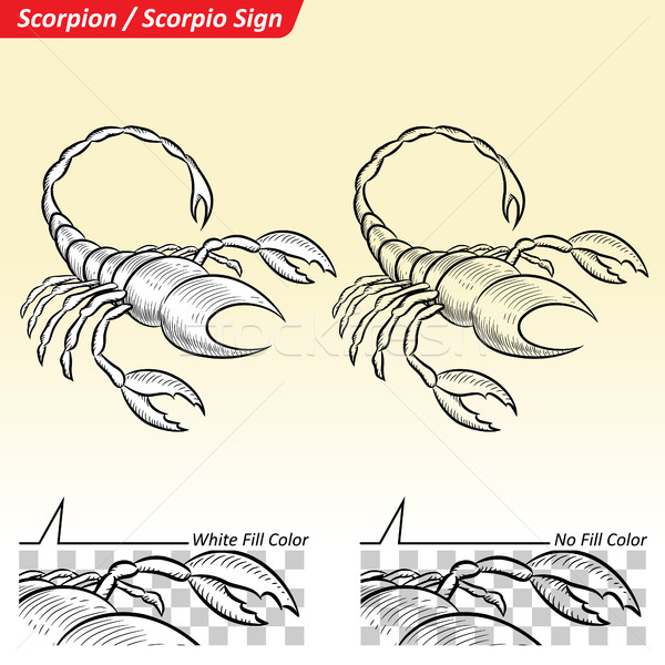 600x600 Scorpio Zodiac Star Sign Sketch Vector Illustration Cihan - Scorpio Sketch