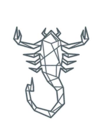 350x450 Scorpio Tattooednow! Ltd. - Scorpio Sketch