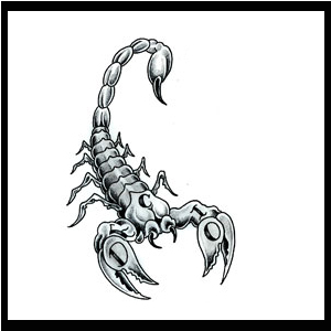 300x300 Sketch It Daily Scorpio Inspired Missemilysiu - Scorpio Sketch