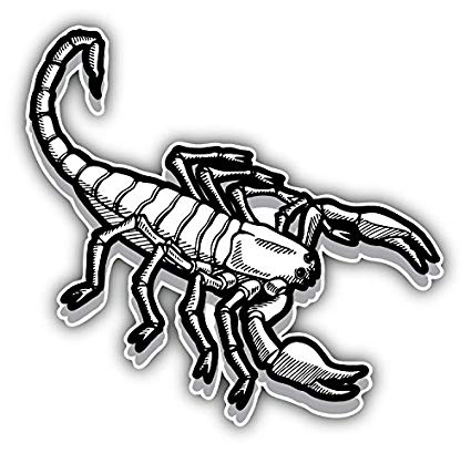 425x409 Scorpio Sketch Animal Art Decor Bumper Sticker 5' X 5 - Scorpio Sketch