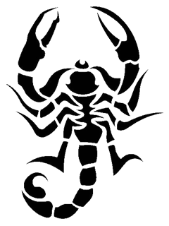 240x320 15 Drawing Scorpion Pencil For Free Download On Mbtskoudsalg - Scorpion Pencil Sketch