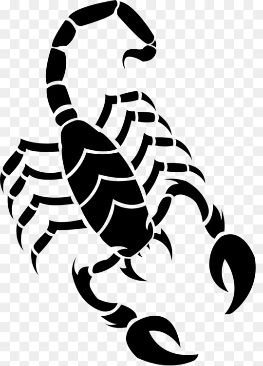 540x750 Scorpion Drawing Pencil Cartoon Free Png Image - Scorpion Pencil Sketch