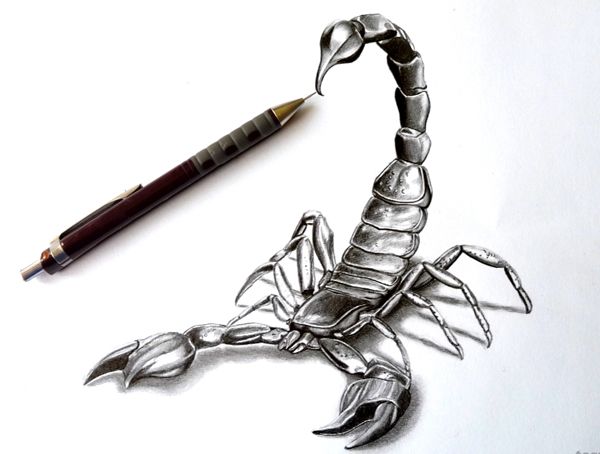 600x454 Brilliant Examples Of 3d Pencil Drawings - Scorpion Pencil Sketch