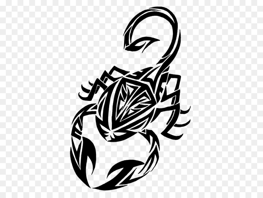 900x680 Drawing Tattoo Scorpion Visual Arts Sketch - Scorpion Sketch
