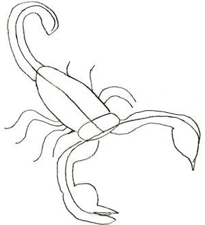 300x329 How To Draw A Scorpion - Scorpion Sketch