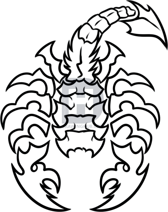 571x720 How To Draw A Scorpion Tattoo, Step By Step, Drawing Guide, By - Scorpion Tattoo Sketch