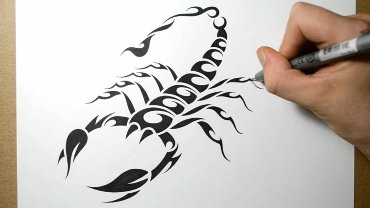 1280x720 How To Draw A Scorpion - Scorpion Tattoo Sketch