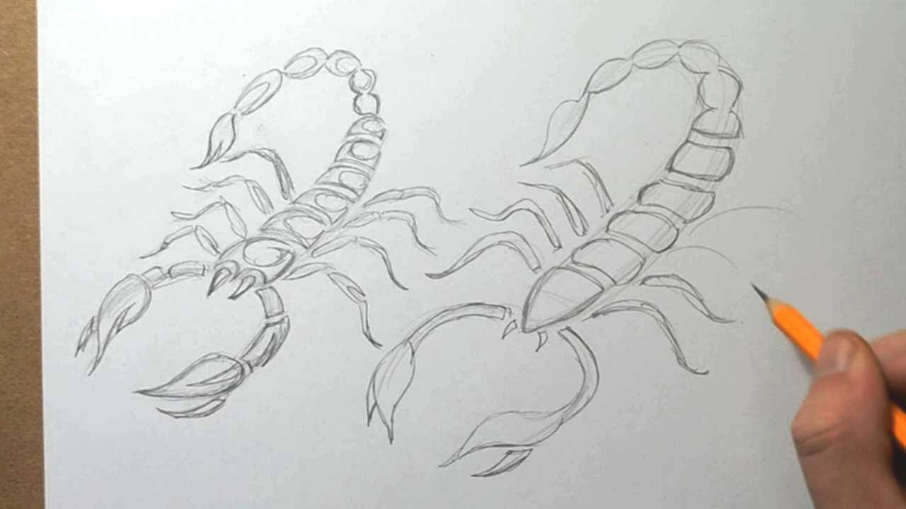1280x720 Scorpion Tattoo Designs Sketching - Scorpion Tattoo Sketch