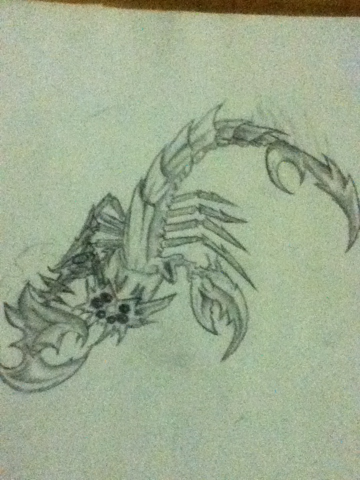 720x960 Scorpion Tattoo Sketch By Fallenjuan - Scorpion Tattoo Sketch