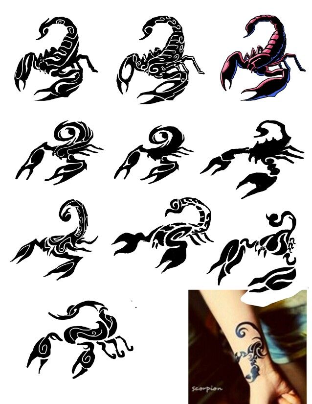 638x825 Scorpion Tattoo Sketches Tattoos I Like Tattoos - Scorpion Tattoo Sketch