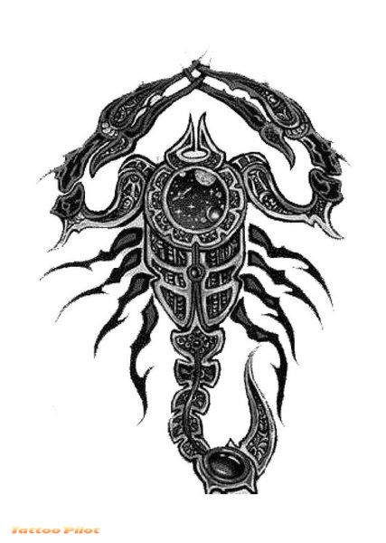 427x600 - Scorpion Tattoo Sketch