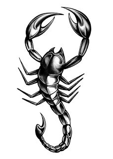 228x320 Nice Scorpion Tattoos - Scorpion Tattoo Sketch