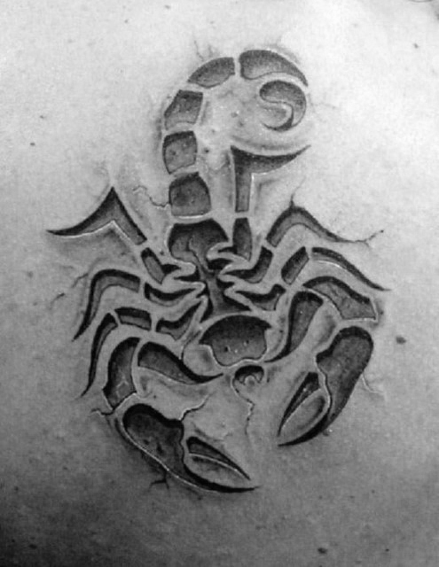 495x640 40 3d Scorpion Tattoo Designs For Men - Scorpion Tattoo Sketch