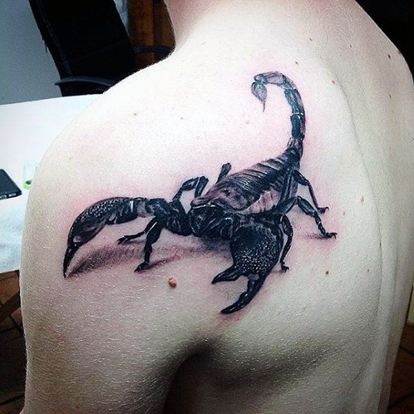 600x600 60 Scorpion Tattoo Designs For Men - Scorpion Tattoo Sketch