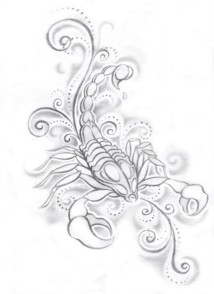 698x960 A Scorpion Sketch Tattoo Ideas Tattoos, Tattoo - Scorpion Tattoo Sketch