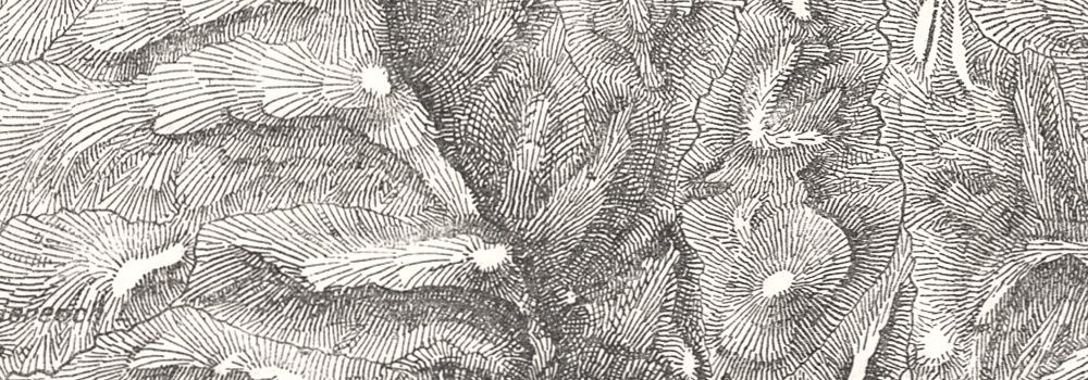 1000x350 Mount Merrick. Scotland. Sketch Map 1885 Old Antique Vintage Plan - Scotland Sketch