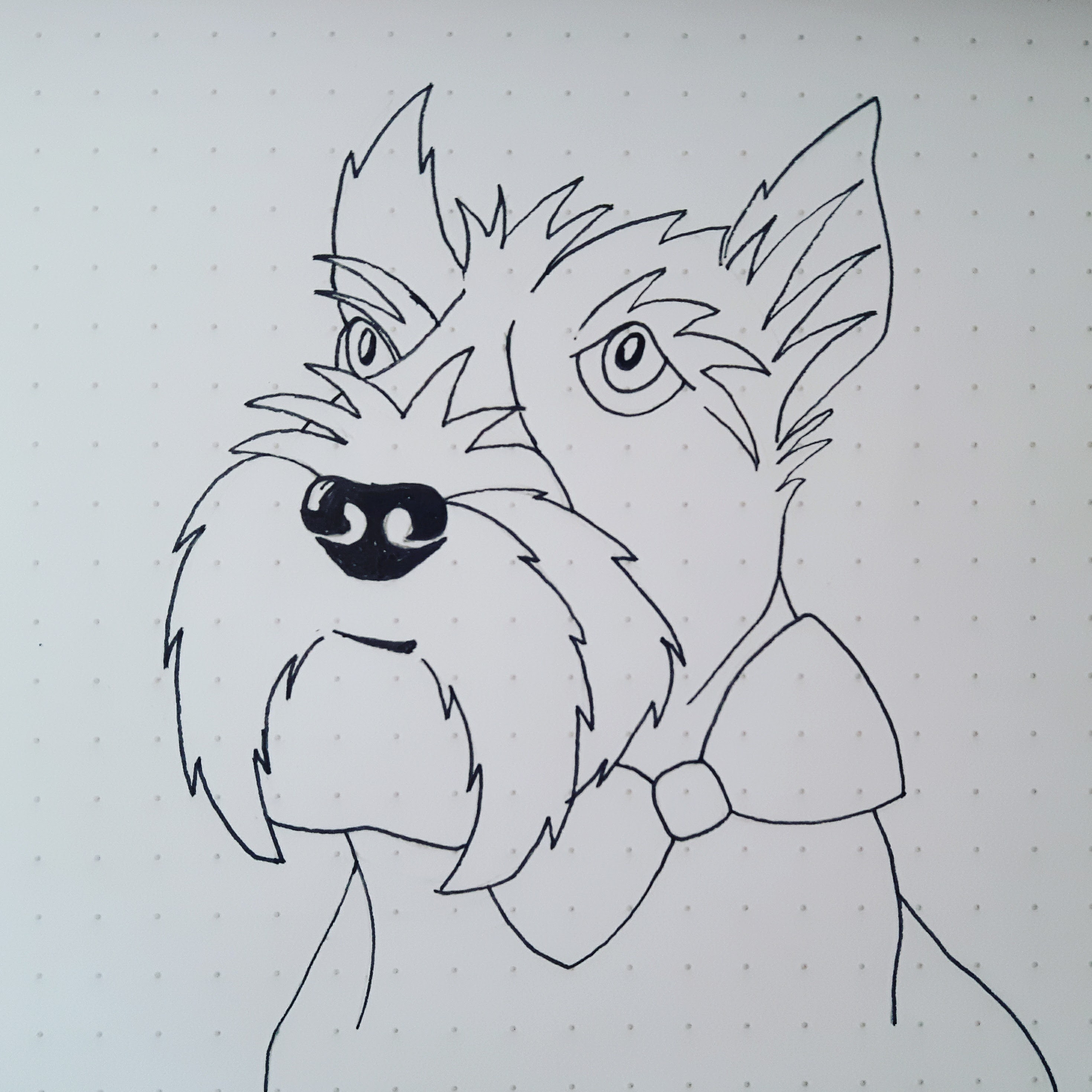 2939x2939 Scottie Dog Wrapping Paper - Scottie Dog Sketch