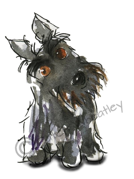 570x760 Scottish Terrier Dog Art Print Scottie Dog 154 Etsy - Scottie Dog Sketch