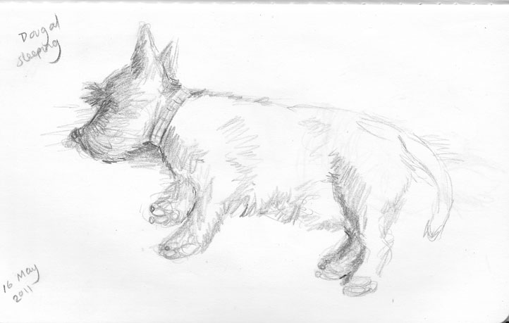 722x459 Sue Rundle Hughes, Illustrator Insomnia And Sketching Scottie Dogs - Scottie Dog Sketch