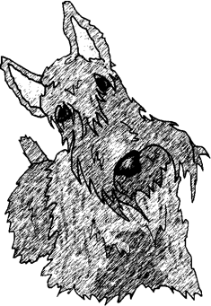 235x341 Dog Sketches These Tips Are Almost Too Easy Follow Along Here - Scottie Dog Sketch