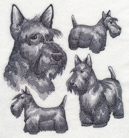 522x558 Machine Embroidery Designs - Scottish Terrier Sketch