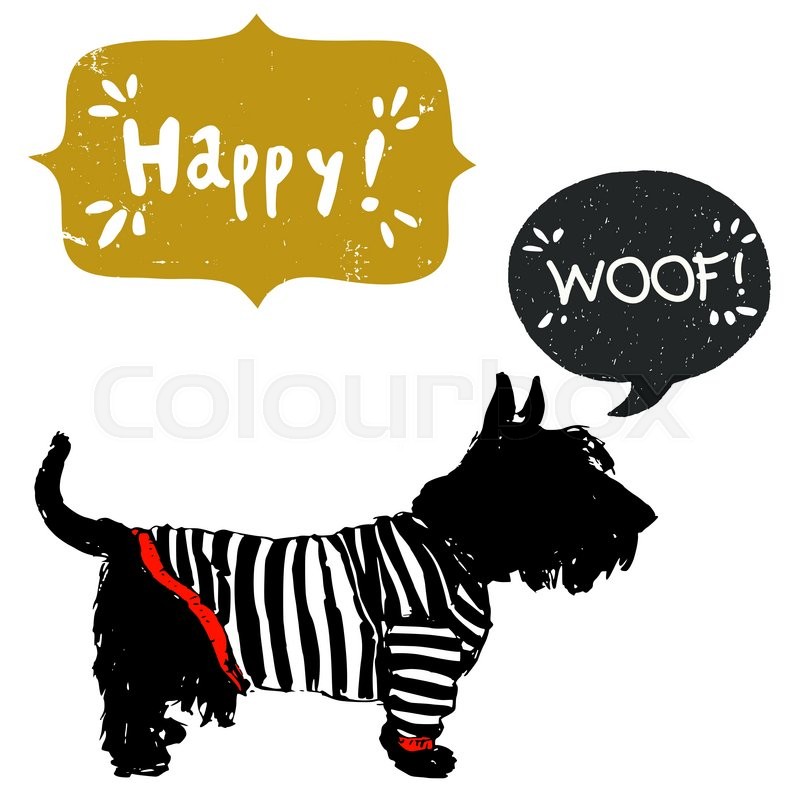 800x800 Hand Drawn Sketch Scottish Terrier In A Sailor Shirt, Isolated On - Scottish Terrier Sketch