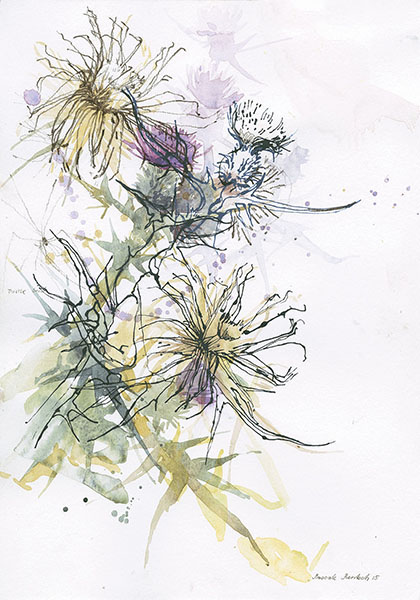 Scottish Thistle Sketch at PaintingValley.com | Explore collection of ...