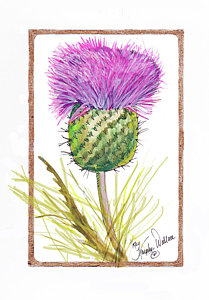 209x300 Scottish Thistle Paintings Fine Art America - Scottish Thistle Sketch