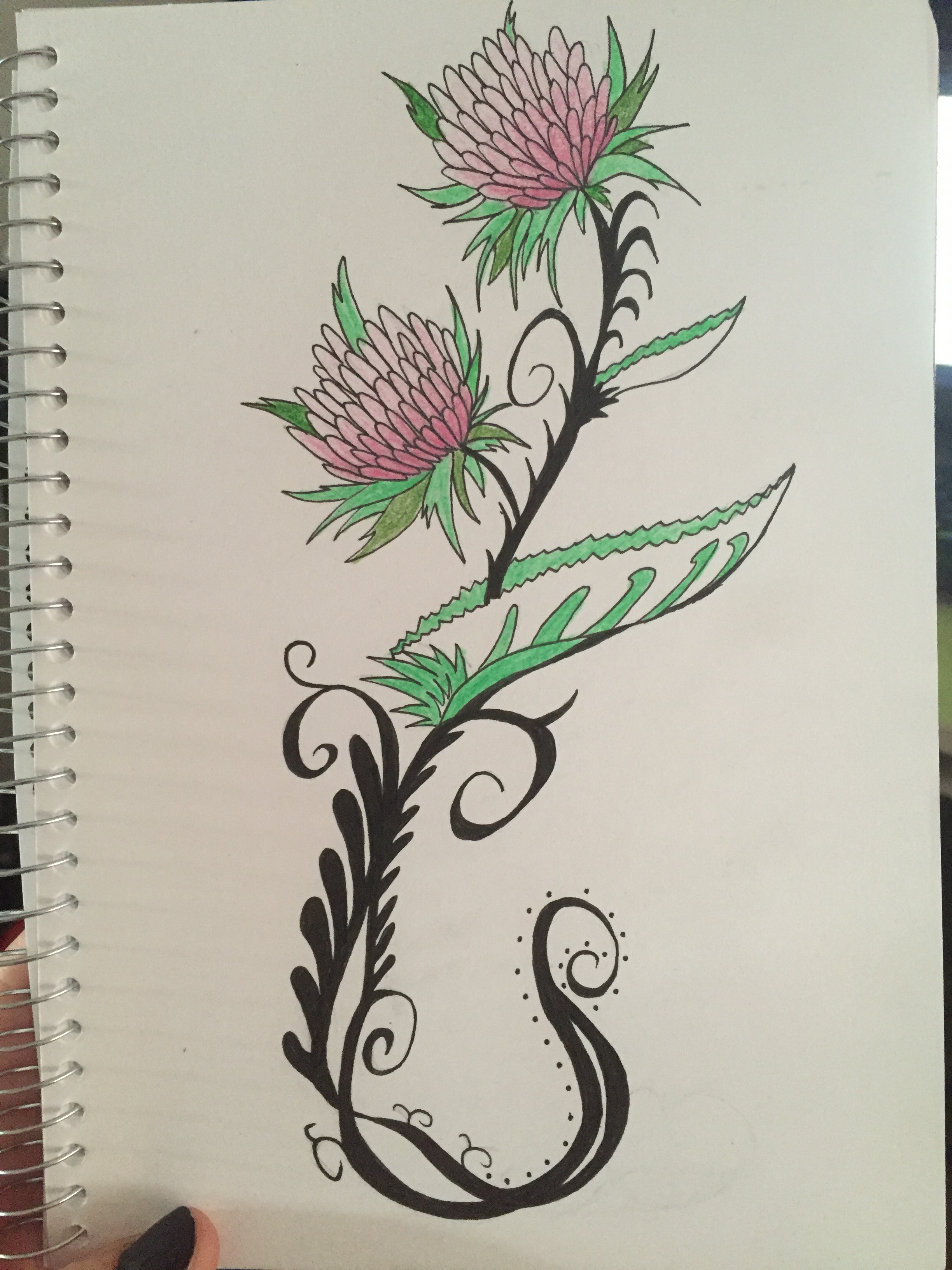 2448x3264 Sketch Sarah Pain - Scottish Thistle Sketch