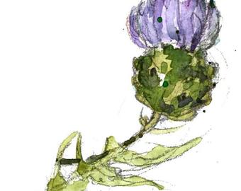 340x270 Thistle Print Etsy - Scottish Thistle Sketch