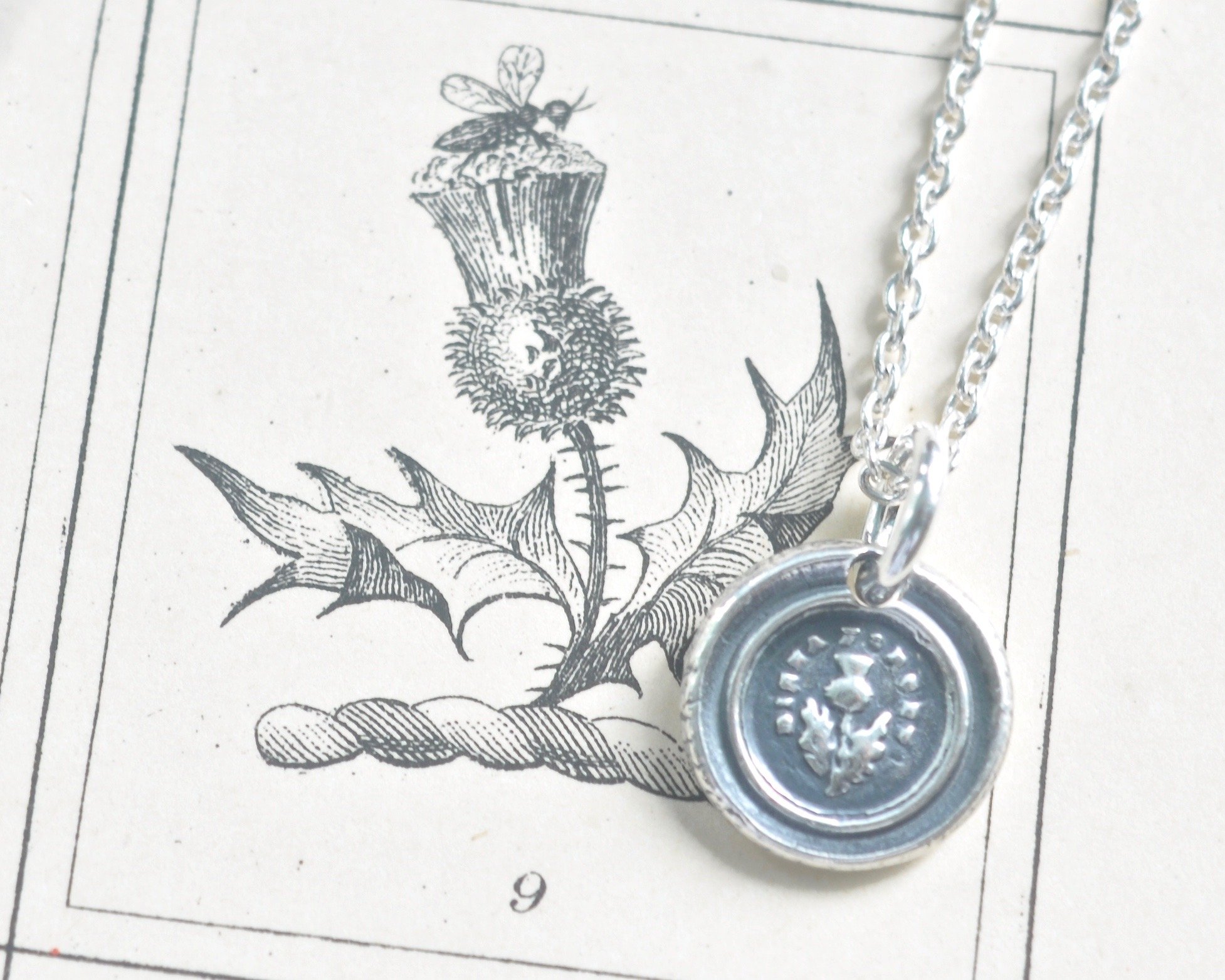 1954x1563 Tiny Scottish Thistle Wax Seal Necklace - Scottish Thistle Sketch