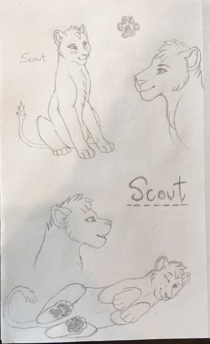 698x1143 Scout Sketches By Zoketi - Scout Sketches