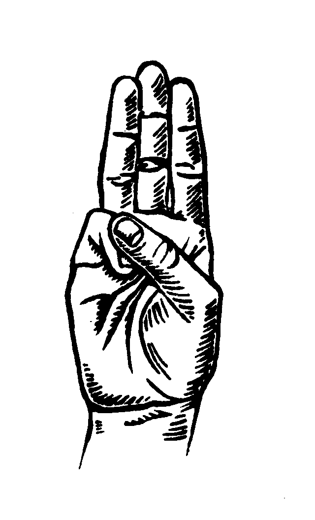 640x1056 - Scout Sketches