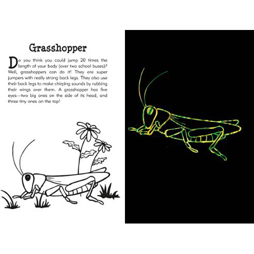 500x500 Scratch And Sketch Butterflies And Friends (Art Activity Book - Scratch Sketch