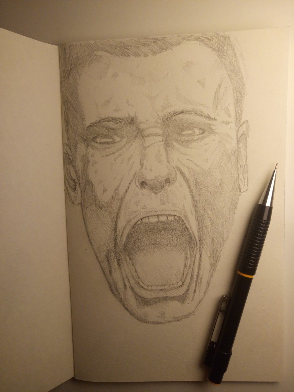 996x1328 Scream - Scream Sketch