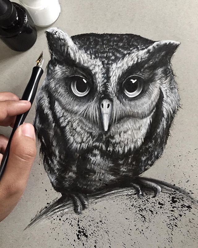 640x800 Finished Oliver, An Eastern Screech Owl. Thanks - Screech Owl Sketch