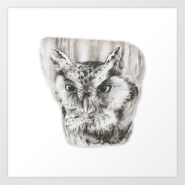 264x264 Screech Owl Art Prints Society6 - Screech Owl Sketch